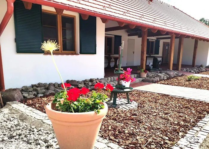 Agardy 2 * 巴拉腾肯尼斯